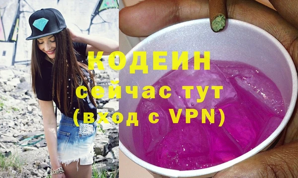 индика Абаза