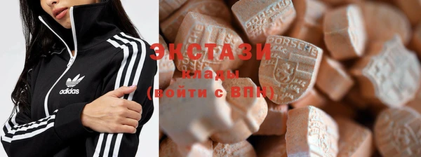 индика Абаза