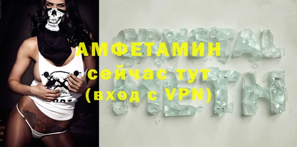 индика Абаза