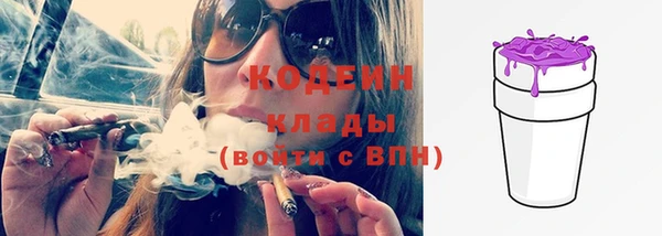 молекула духа Лабытнанги