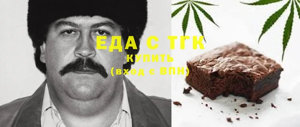 индика Абаза