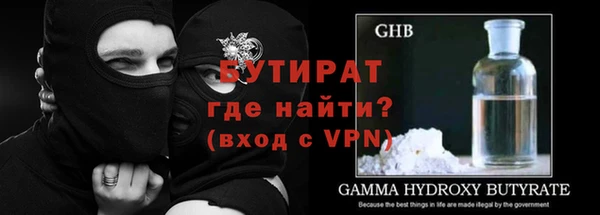 индика Абаза