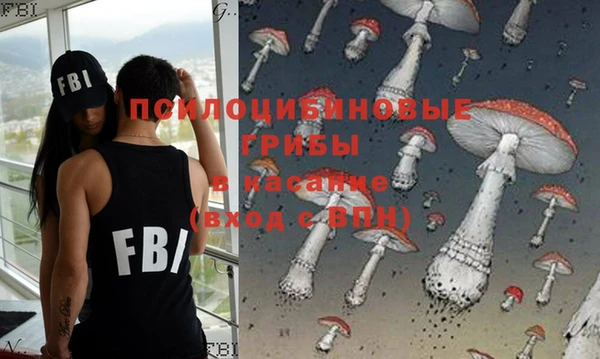 индика Абаза