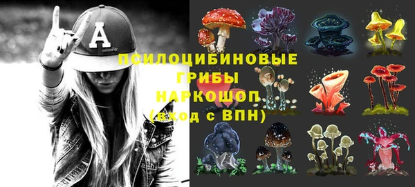 ешки Абинск