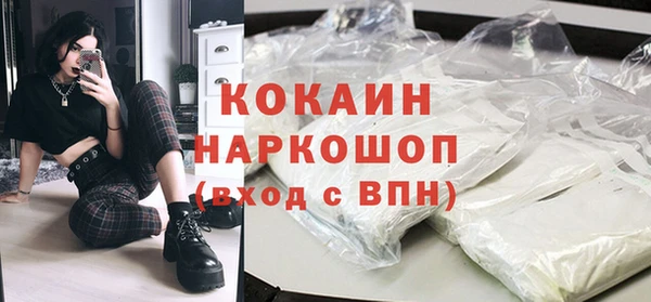 индика Абаза