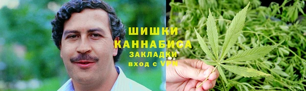 индика Абаза
