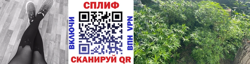 Марихуана THC 21%  Воронеж 